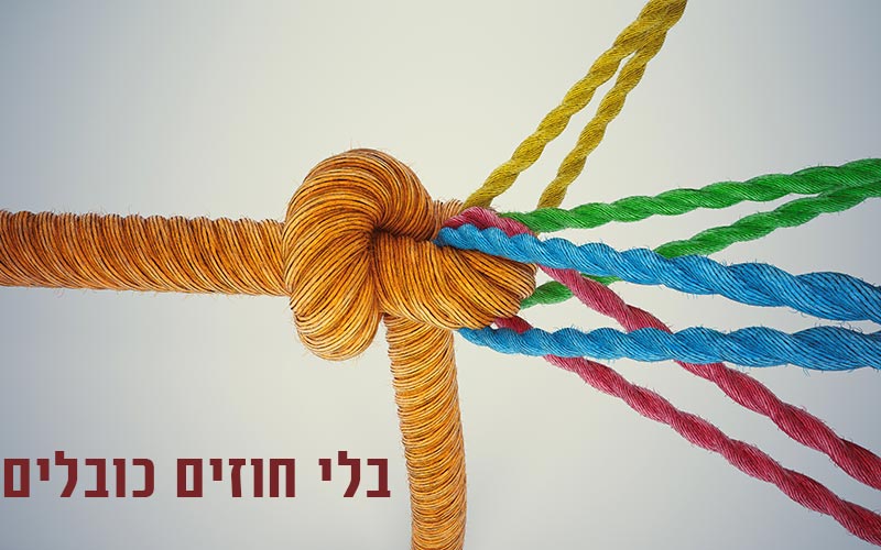 מומחה קידום אתרים בלי חוזה כובל