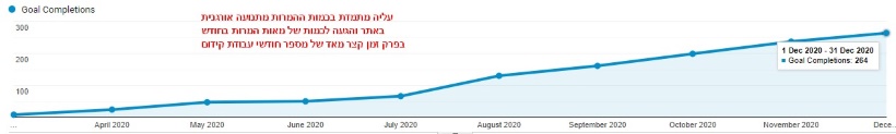 מומחה קידום אורגני מגביר כמות המרות